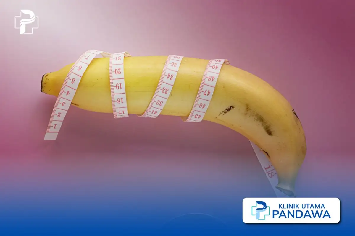 cara memperbesar penis