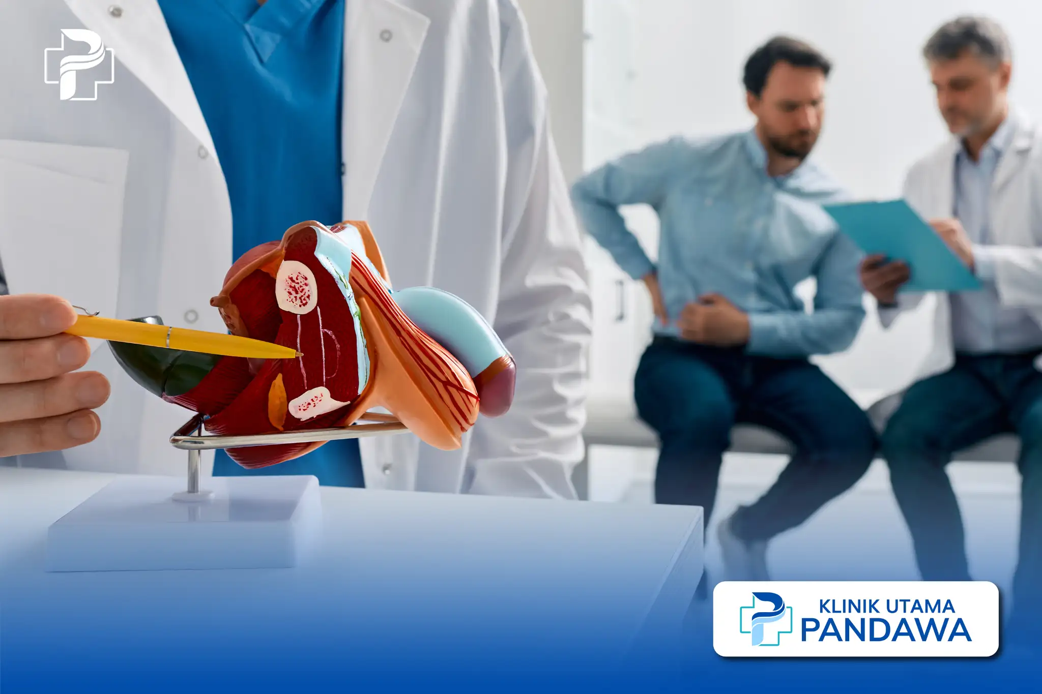 dokter spesialis andrologi