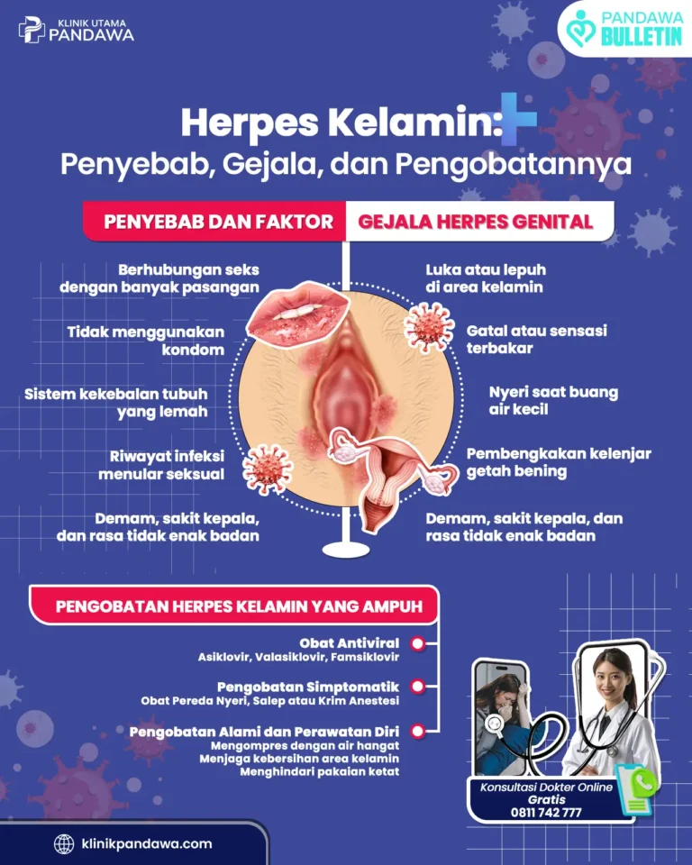 infografis herpes kelamin (herpes genital)